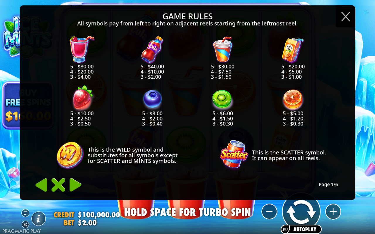 Ice Mints information screen