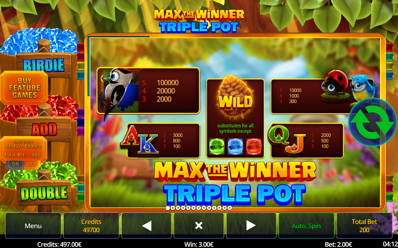 Max the Winner: Triple Pot information screen