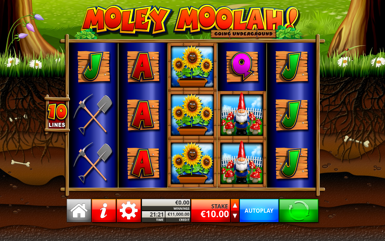 Moley Moolah Going Underground base game