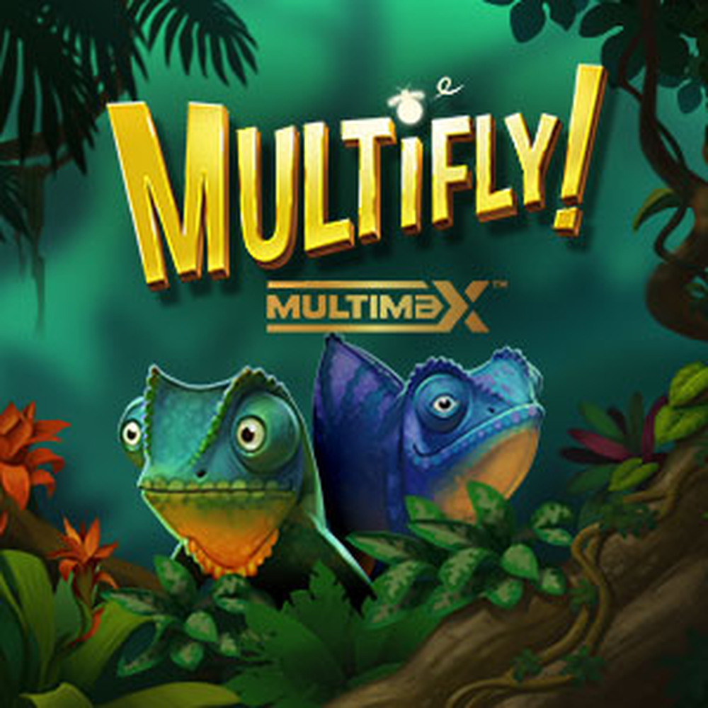 MultiFly! MultiMax