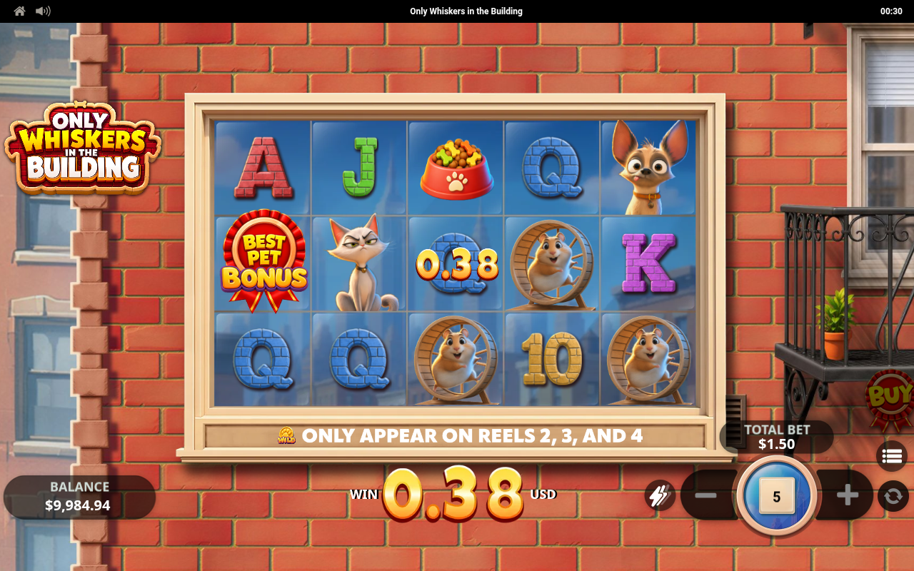 Only Whiskers in the Building gameplay