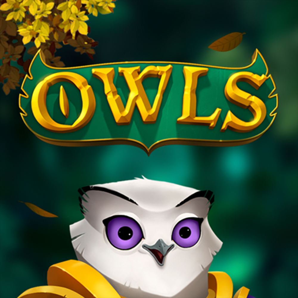 Play Owls Slot Game