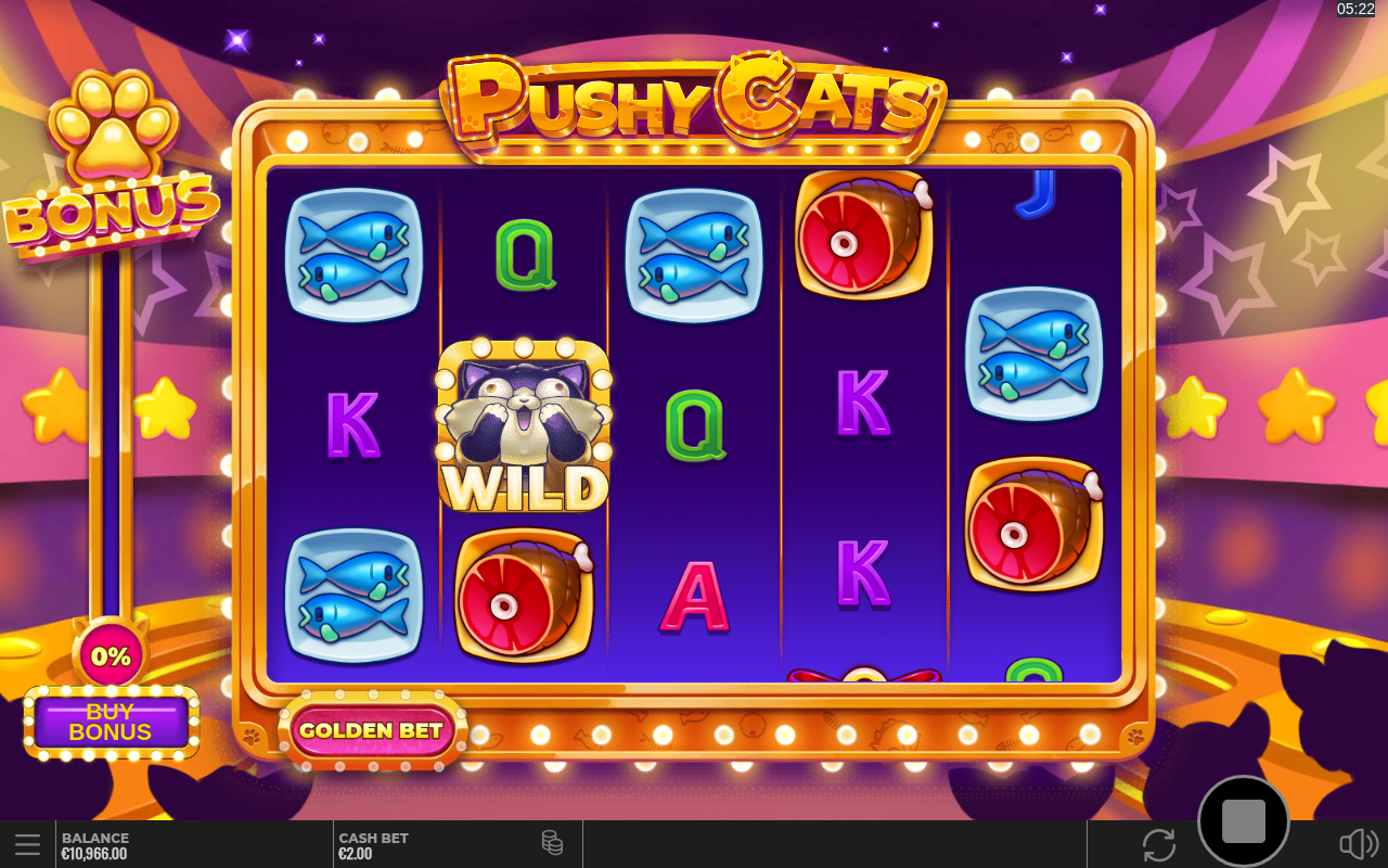 Pushy Cats bonus gameplay