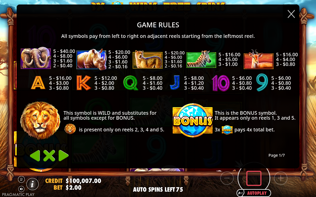 Safari King information screen