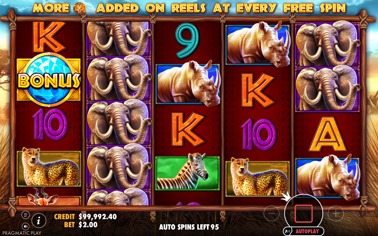 Safari King gameplay