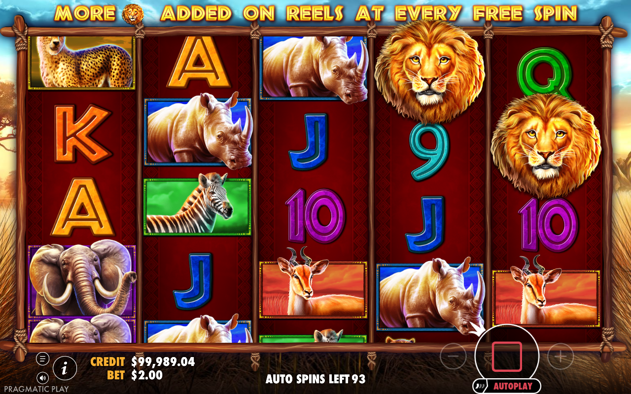 Safari King gameplay