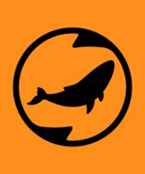 Spinning Whale Logo