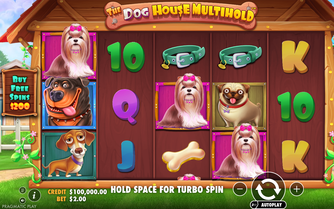 The Dog House Multihold base game