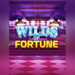 Play Wild Fortune Slot Game