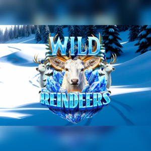 Wild Reindeers slot by Spinberry