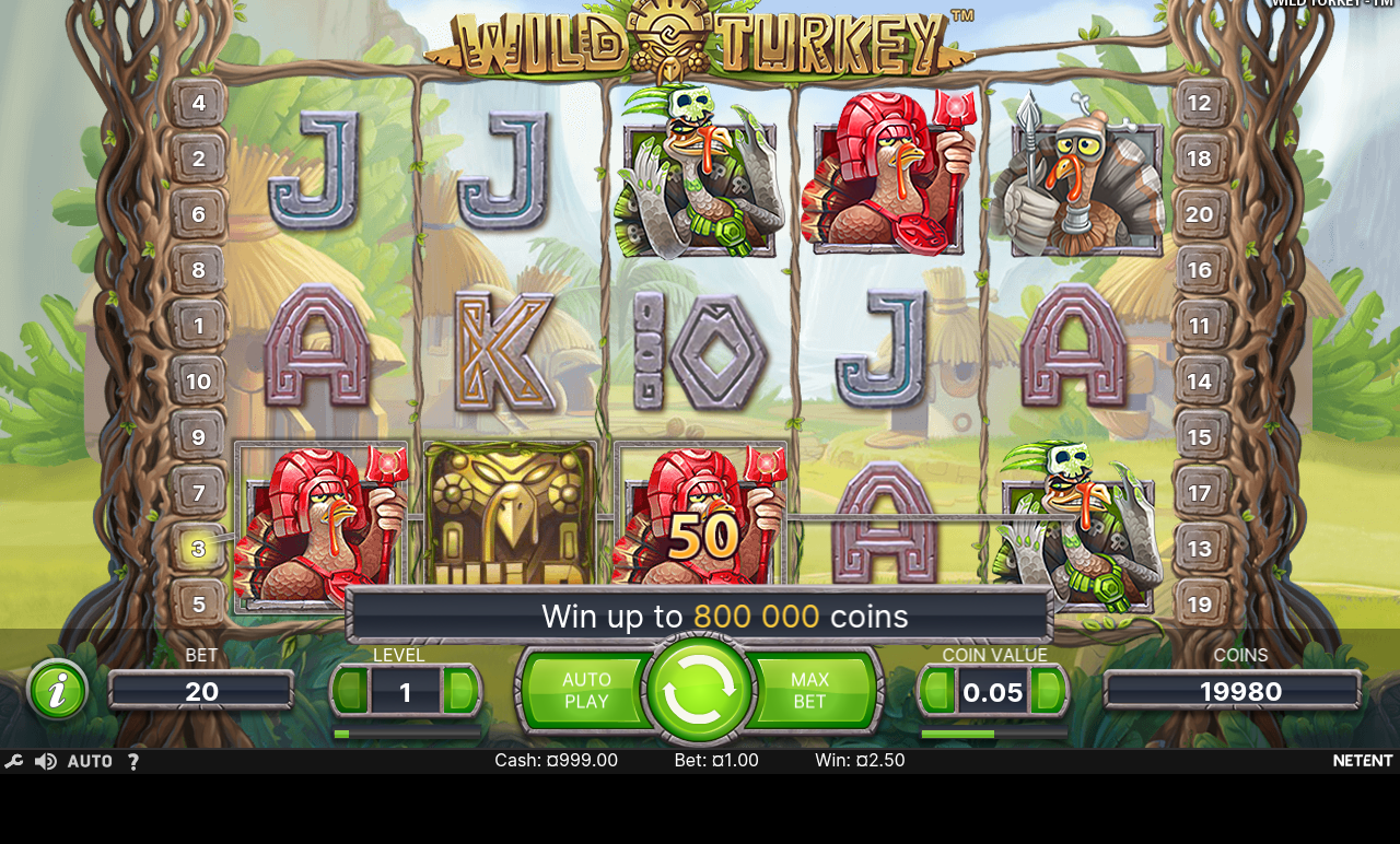 Wild Turkey gameplay