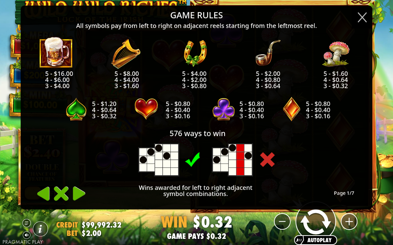 Wild Wild Riches information screen