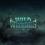 Play Wild Witches Slot Game