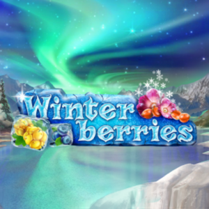 Winterberries slot by Yggdrasil