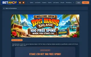 BetAhoy – Offer terms
