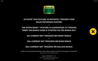 Coin Collect: Piggy Patrons Extra Bank – Bonus buy