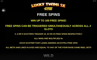 Lucky Twins 5X 4Tune Reels – Game rules