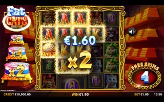 Fat Cats DoubleMax – Feature in play