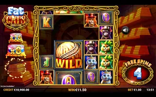Fat Cats DoubleMax – Feature in play