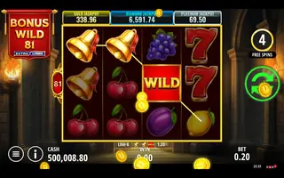Bonus Wild 81 Extralines – Feature in play