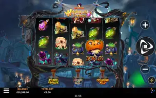 Witches Wild Fortune – Feature in play