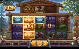 Buffalo Horizon – Feature in play