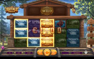 Buffalo Horizon – Feature in play