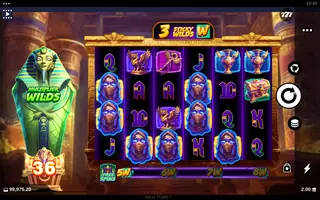 Wild Tomb – Feature in play