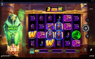 Wild Tomb – Feature in play