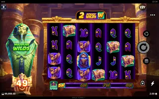 Wild Tomb – Free spins