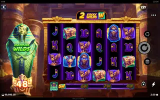 Wild Tomb – Free spins