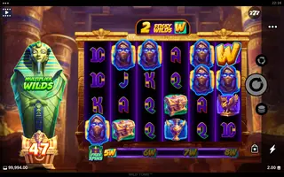 Wild Tomb – Free spins