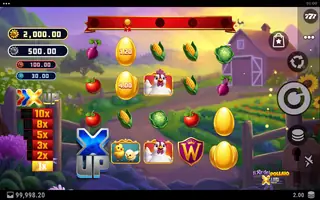 Il Re del Pollaio X UP – Winning spin