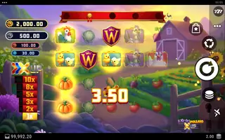 Il Re del Pollaio X UP – Feature in play