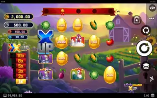 Il Re del Pollaio X UP – Feature in play