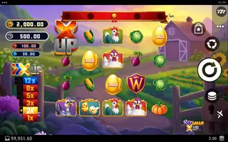 Rey Gallo X UP – Free spins