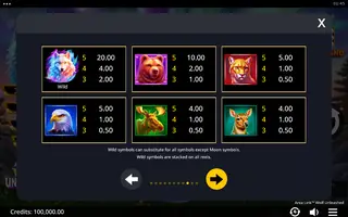 Area Link Wolf Unleashed – Paytable