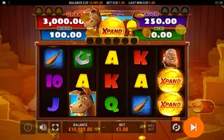 Golden Donkey Xpand – Feature in play