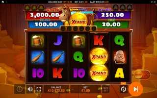 Golden Donkey Xpand – Feature in play