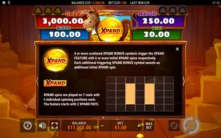 Golden Donkey Xpand – Game rules