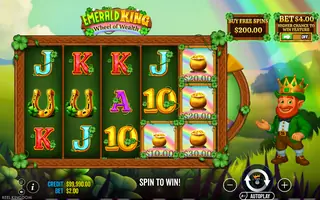 Emerald King – Wheel of Wealth – Feature in play