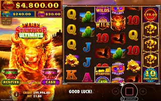 Fire Stampede Ultimate – Feature in play