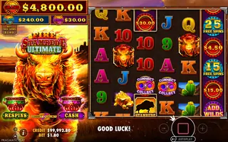 Fire Stampede Ultimate – Feature in play