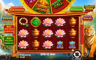 Dragon Tiger Fortunes – Base game