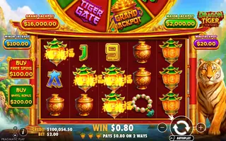 Dragon Tiger Fortunes – Winning spin