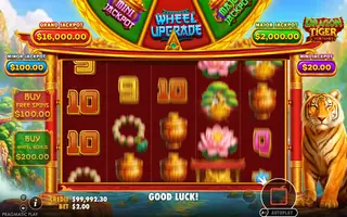 Dragon Tiger Fortunes – Bonus round