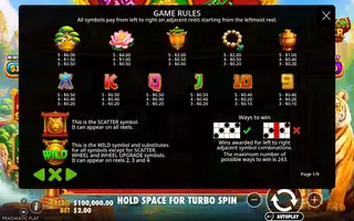 Dragon Tiger Fortunes – Paytable
