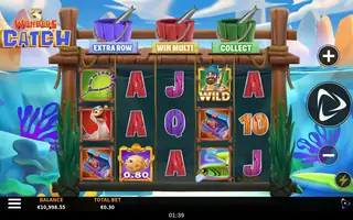 3 Wonders Catch – Feature in play