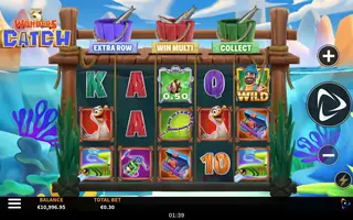 3 Wonders Catch – Feature in play
