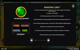 Amazing Link Dakota Jones – Game rules